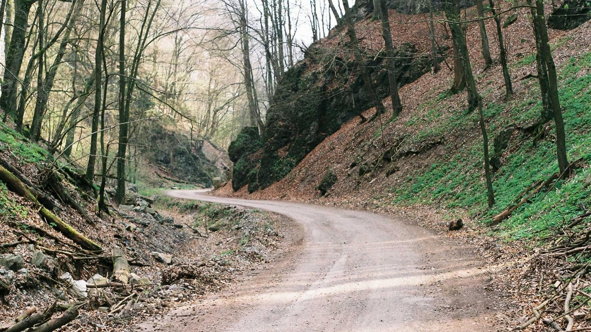 Vivienne and Alistair